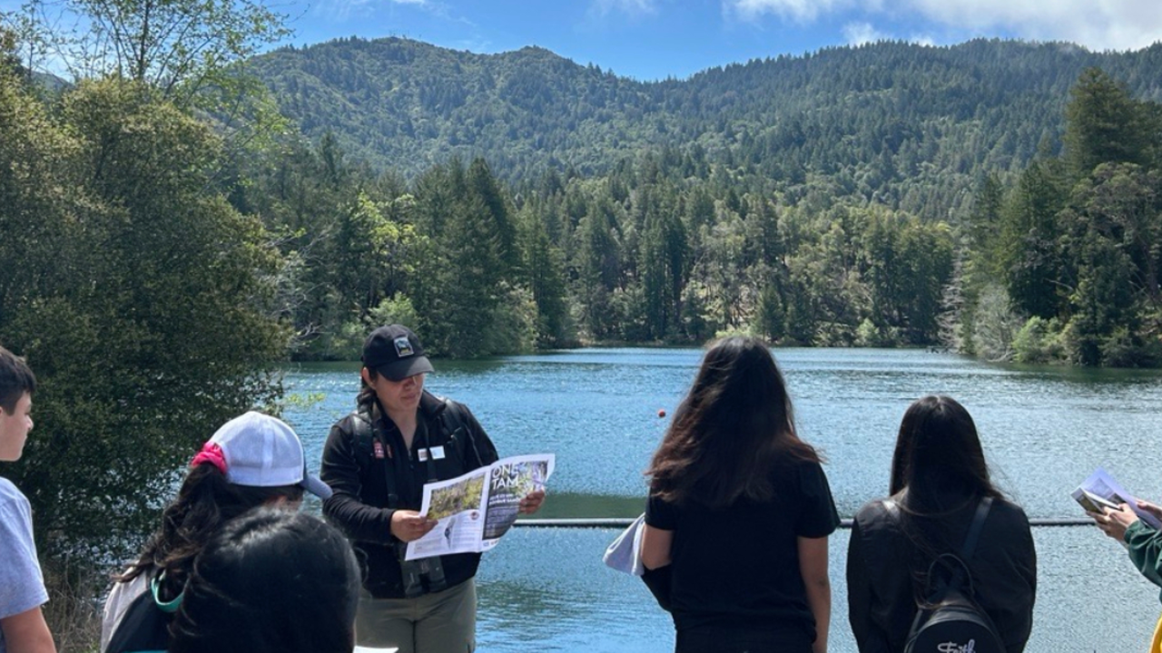 Visitors enjoy a sunny day at Lake Lagunitas.