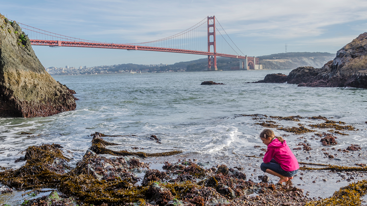 Someone tide-pooling in the Marin Headlands