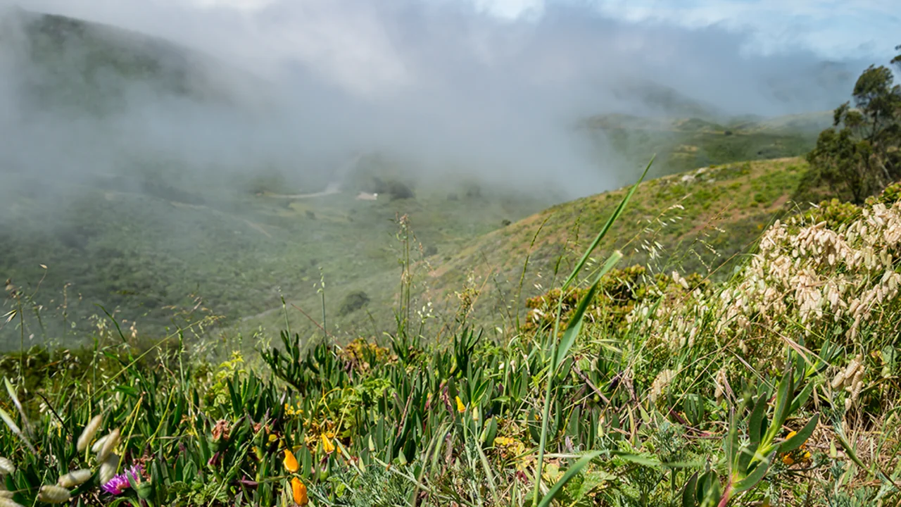 Marin Headlands  