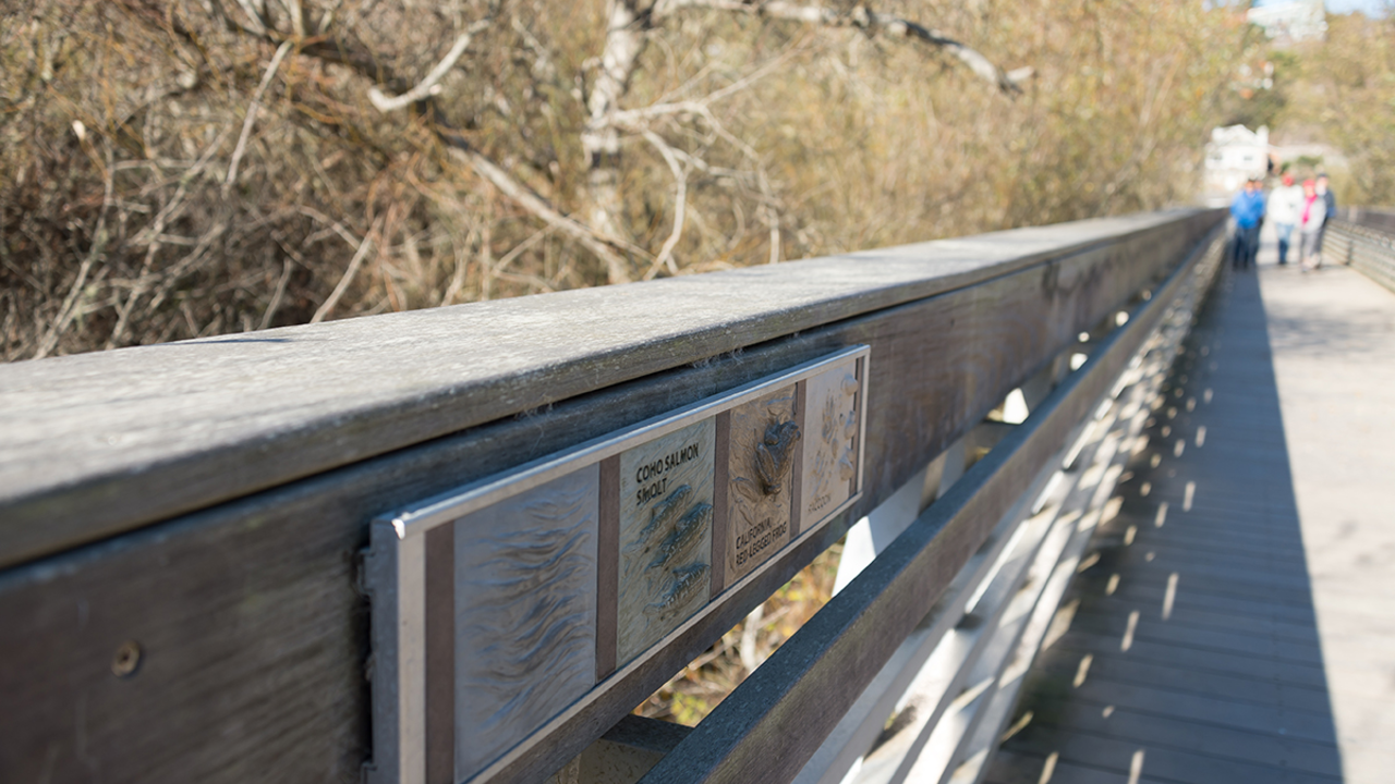 Muir Beach pedestrian bridge