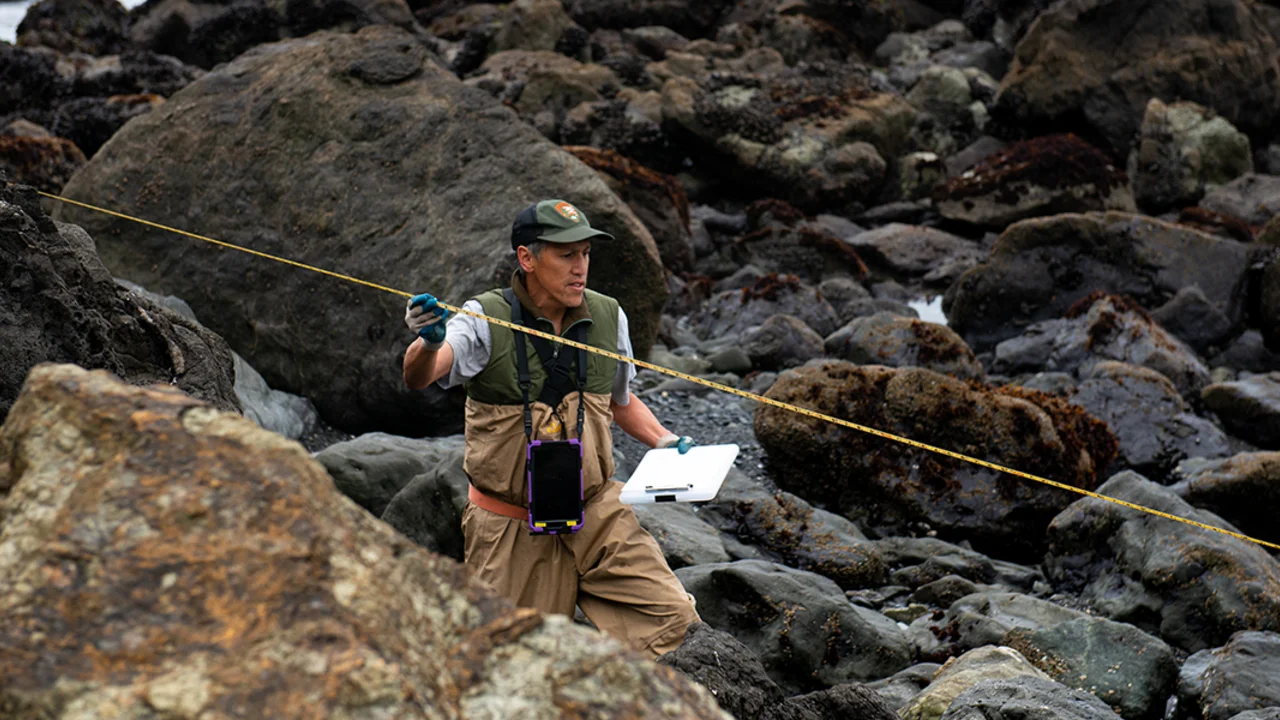 NPS Aquatic Ecologist Darren Fong surveying tide pools in the Marin Headlands