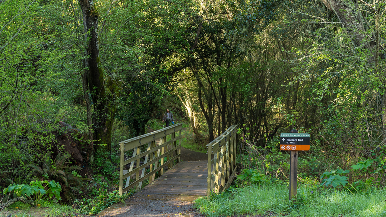 Trail in Oakwood Valley Trail in Oakwood Valley