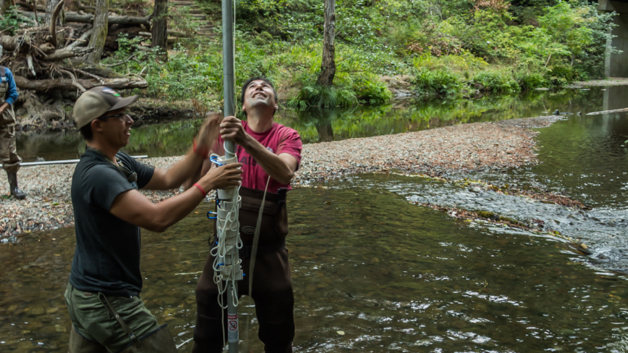 Bat monitoring in Marin County