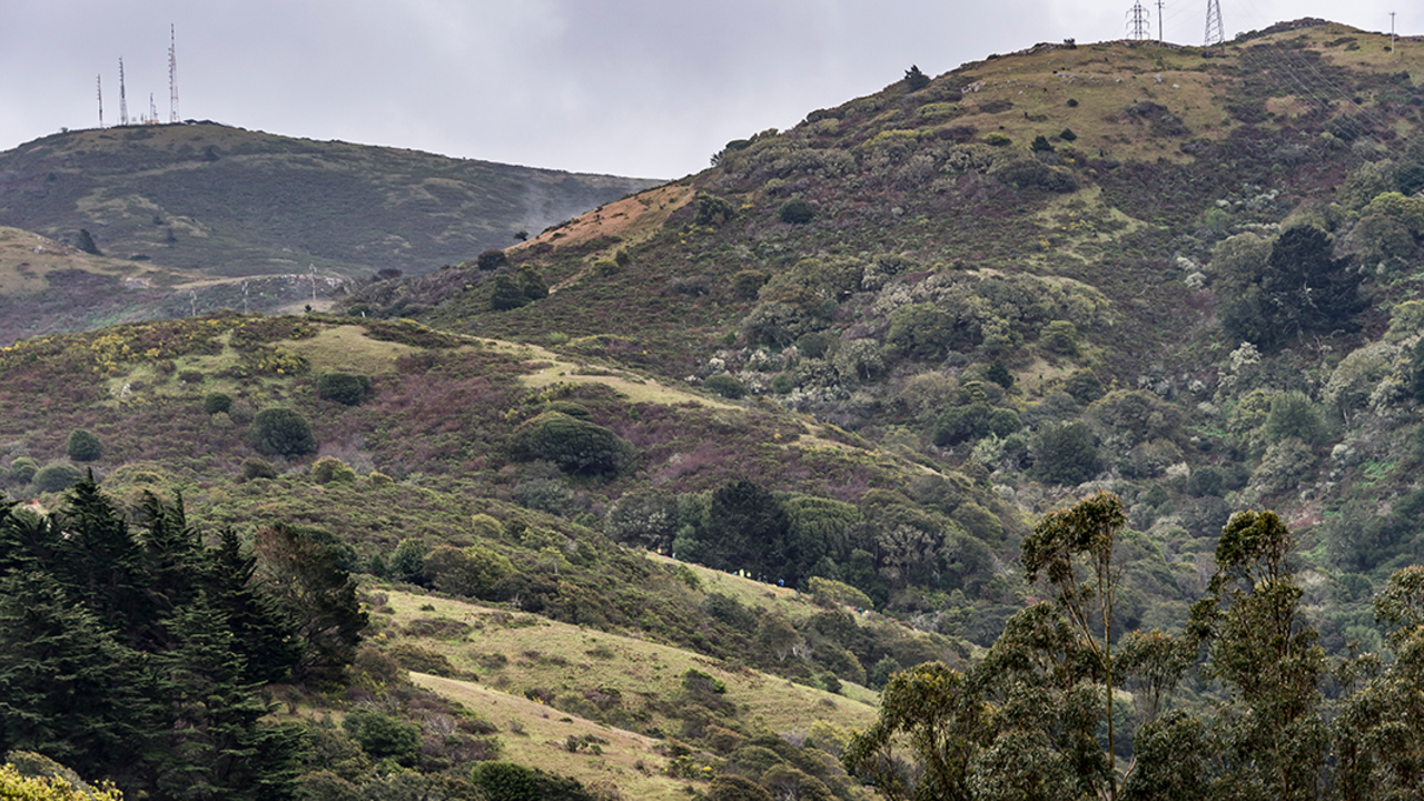 Oakwood Valley