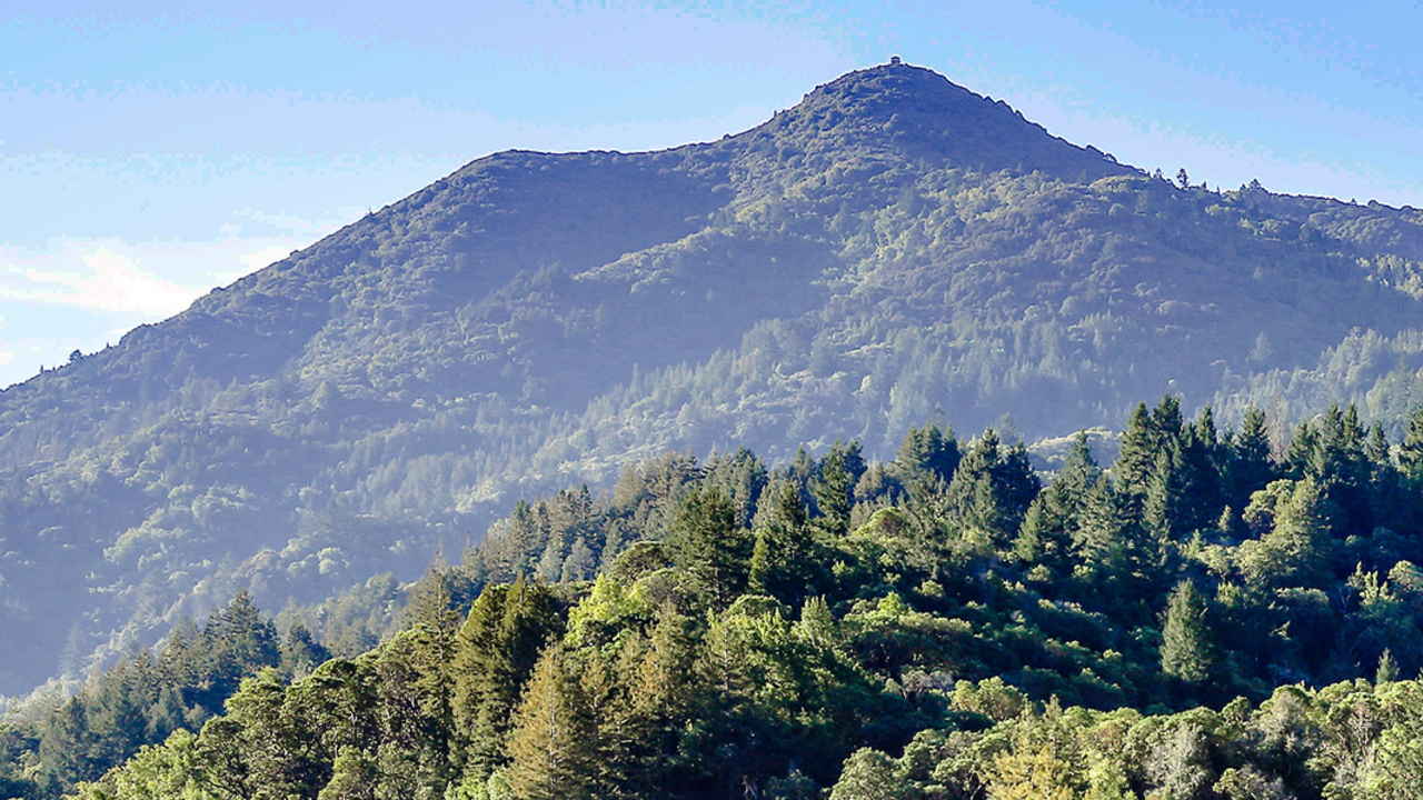 Mount Tamalpais Mount Tamalpais