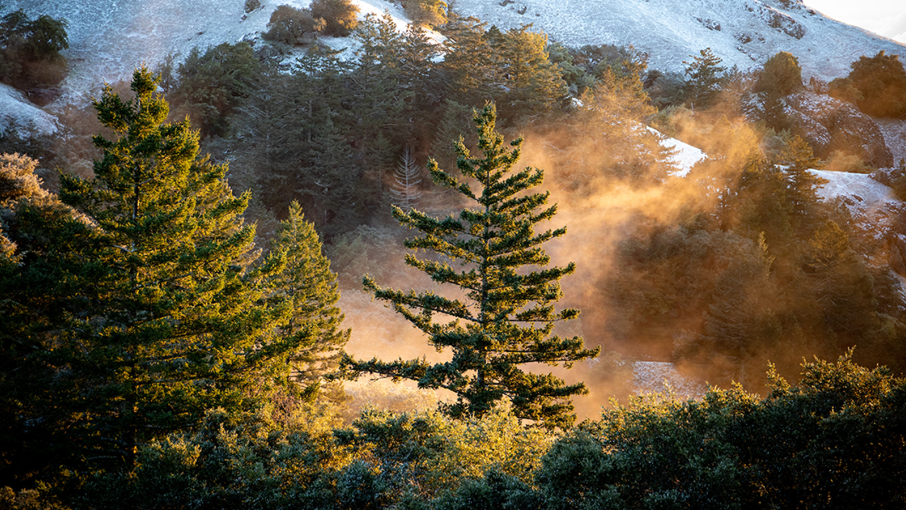 MOTA_20190205_PMM_2181.png A light dusting of snow on Mt. Tamalpais