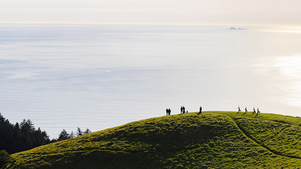 Groups of people in yoga poses and enjoying the scenery on Mt. Tam.