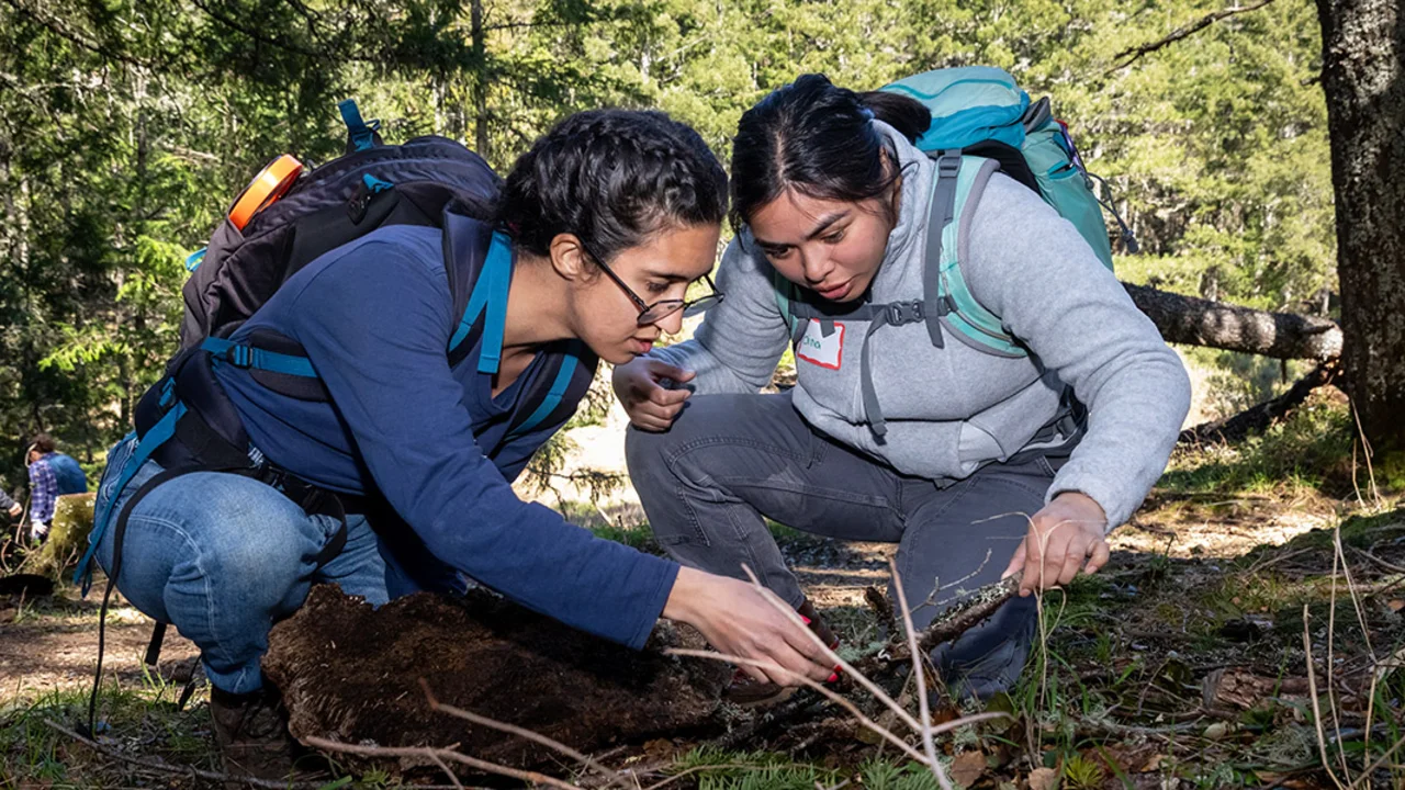 Two people examining a branch at a BioBlitz event.