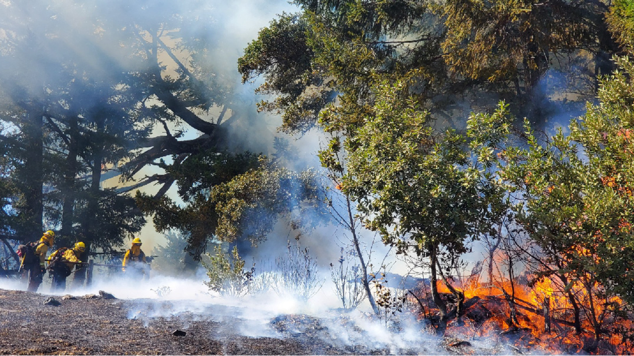 Prescribed burn on Mt. Tamalpais