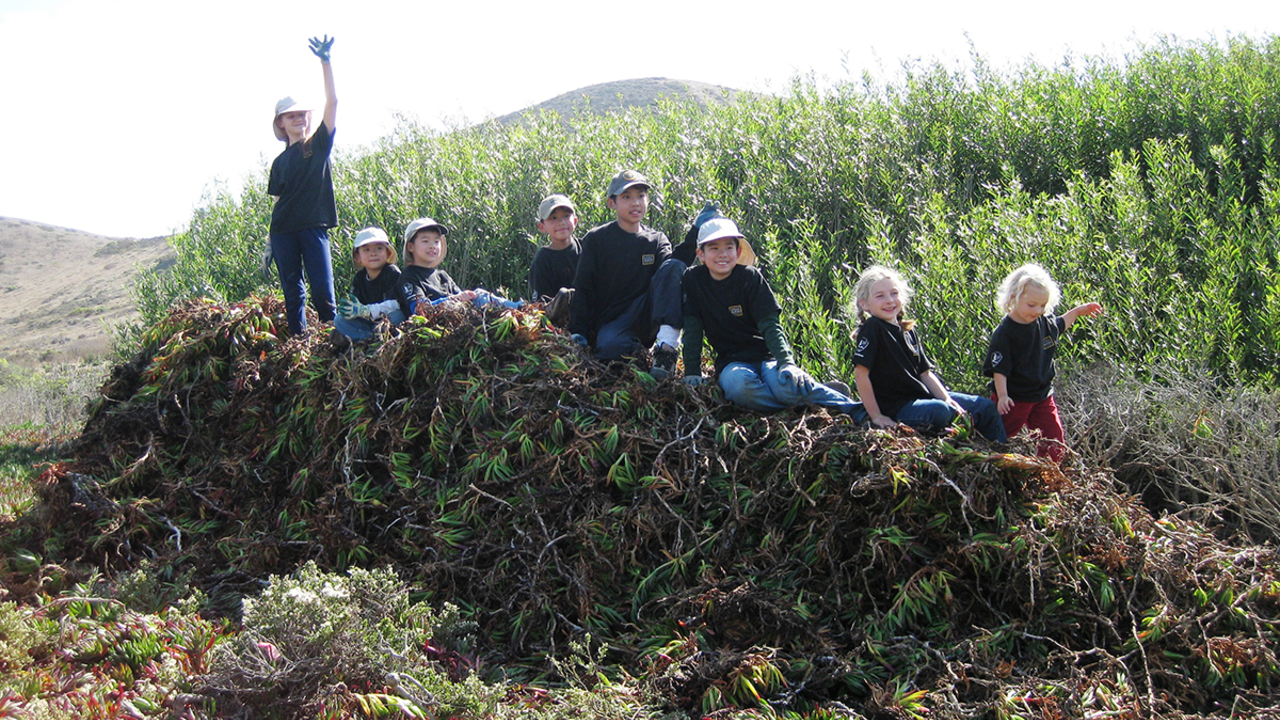 Young volunteers on top of a pile of invasive ice plant pulled from Mori Point oung volunteers on top of a pile of invasive ice plant pulled from Mori Point