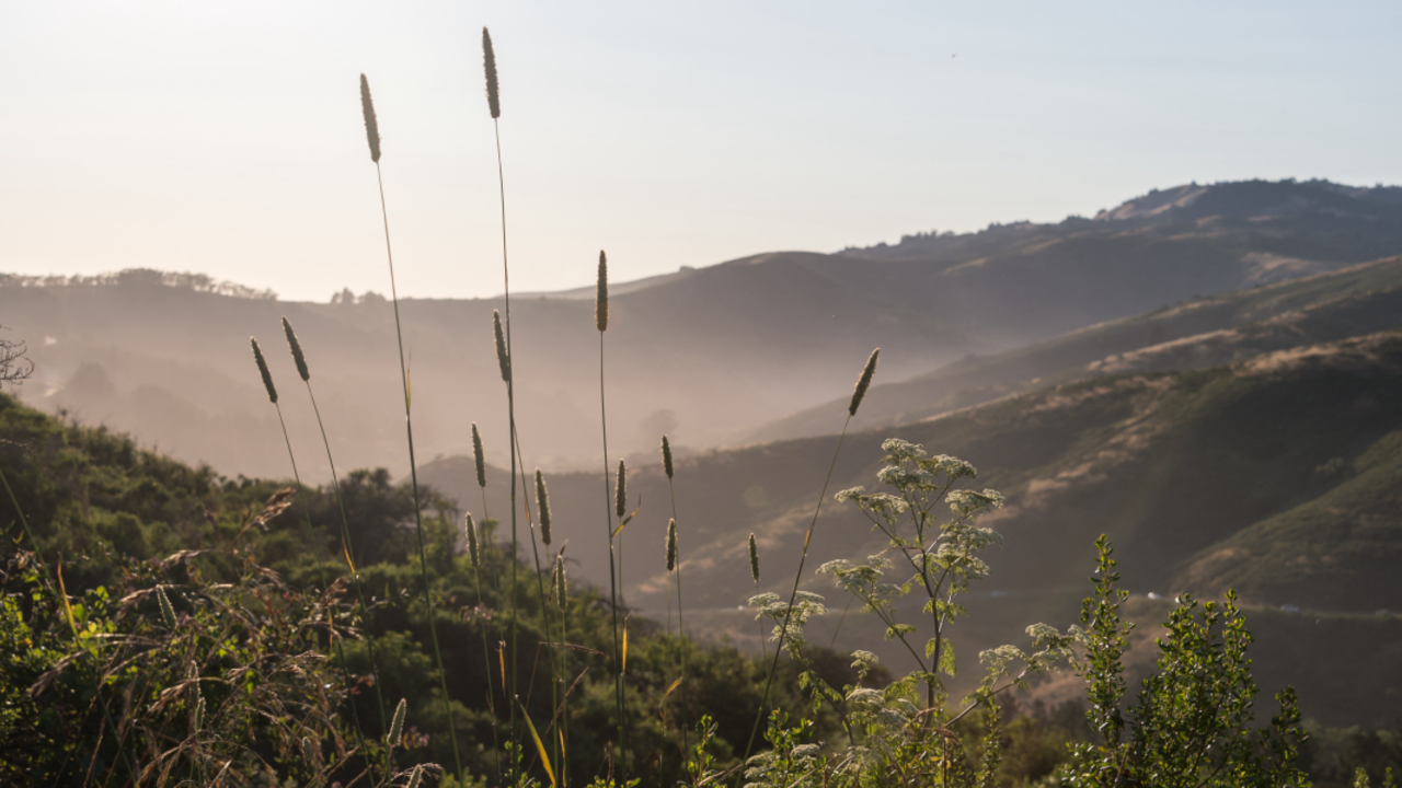Sunset at Muir Beach
