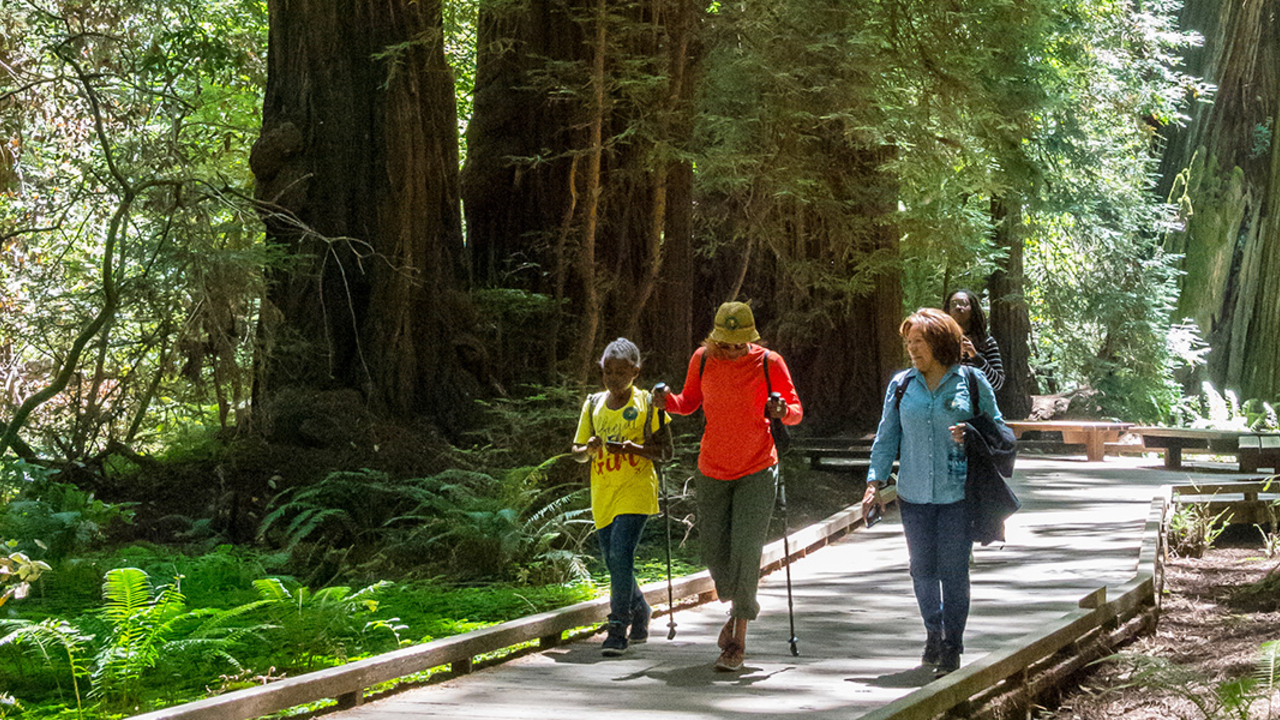 People walk among the redwood trees in Muir Woods.