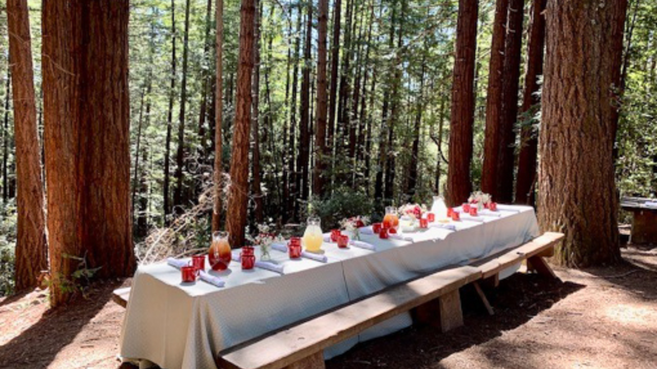 A decadent dining table is set up in the woods at Mt. Tam's Alice Eastwood.