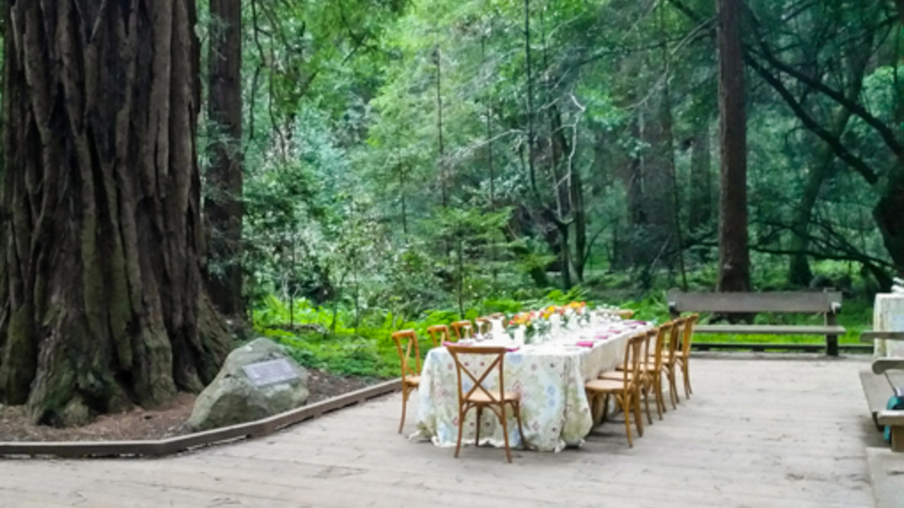 A dining table set on the redwood creek boardwalk in Muir Woods.