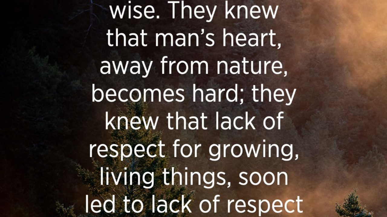 Quote graphic saying, “The elders were wise. They knew that man's heart, away from nature, becomes hard; they knew that lack of respect for growing, living things, soon led to lack of respect for humans, too."