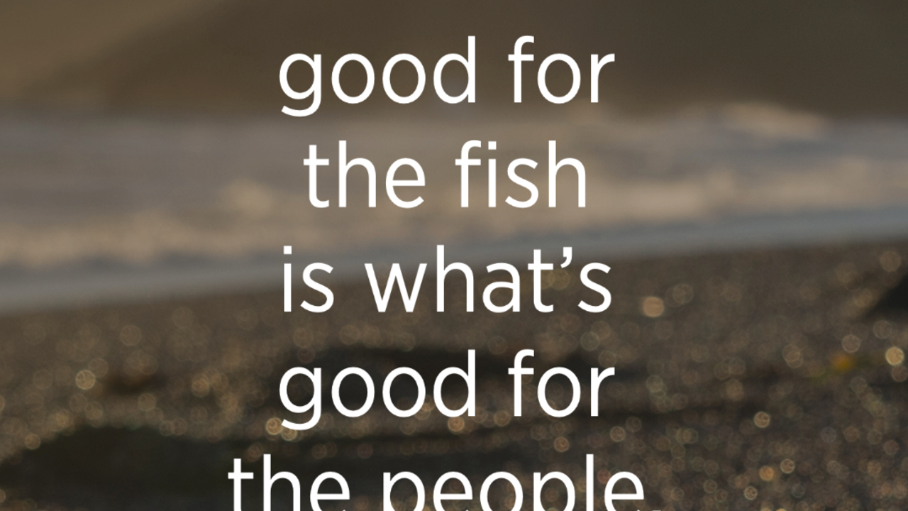 “What's good for the fish is what's good for the people.”  - Norm Harry