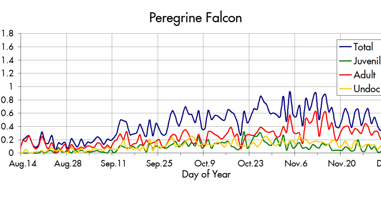 Peregrine Falcon migration trends at the Marin Headlands