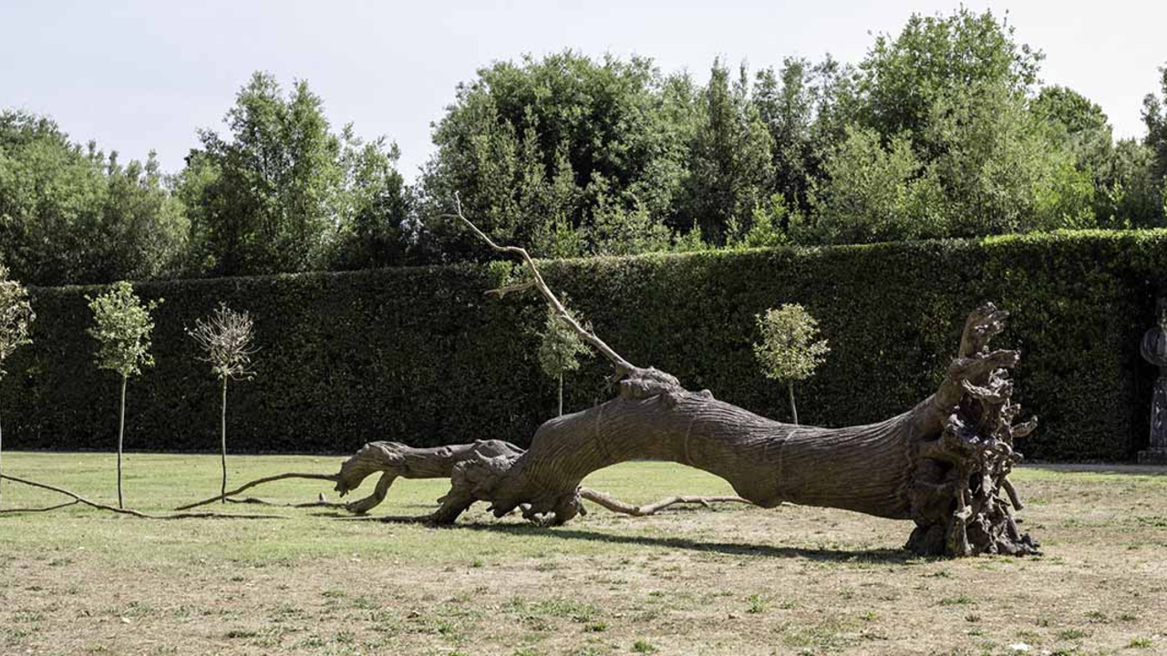 "La logica del vegetale (The Logic of the Vegetal)," 2012, Bronze and trees, by Giuseppe Penone.