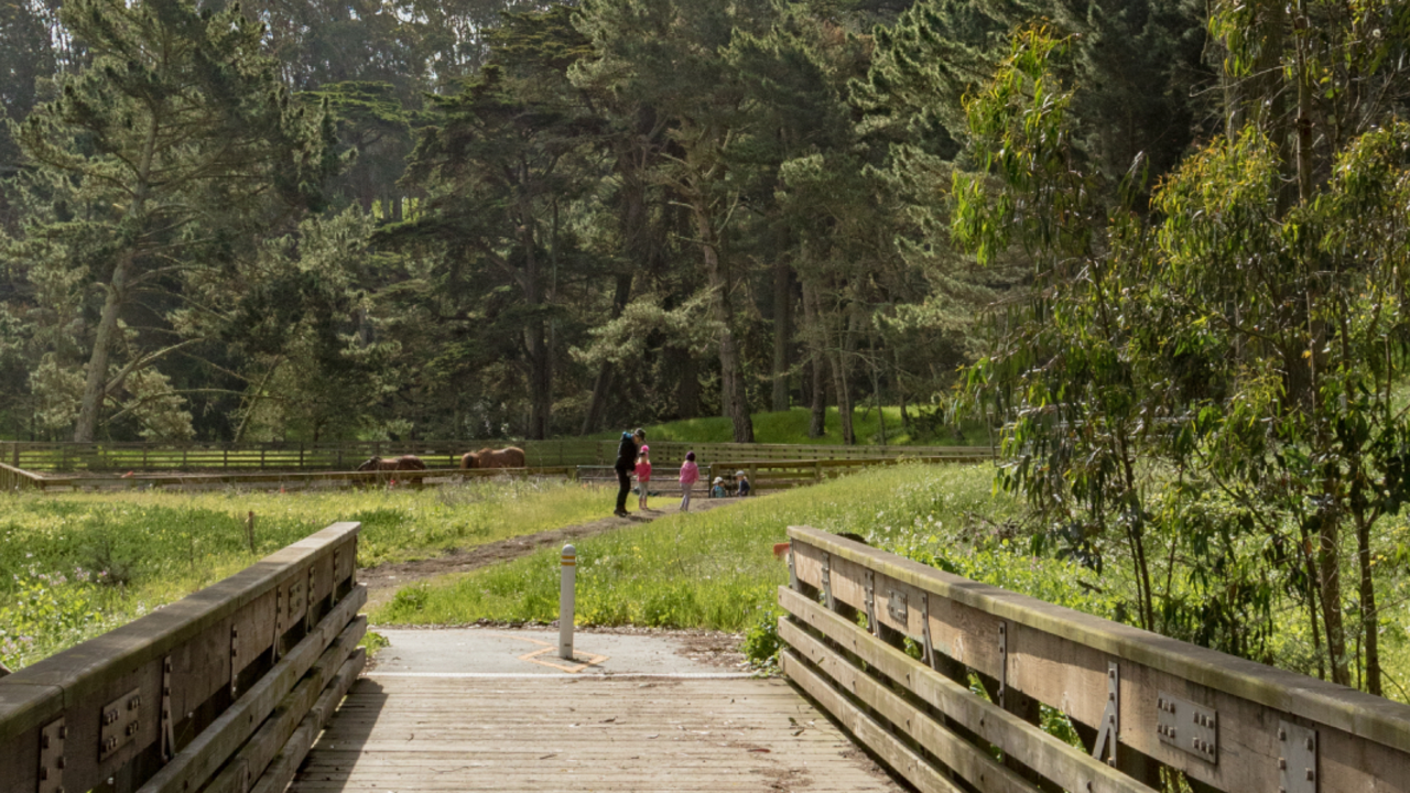 Presidio Promenade Trail