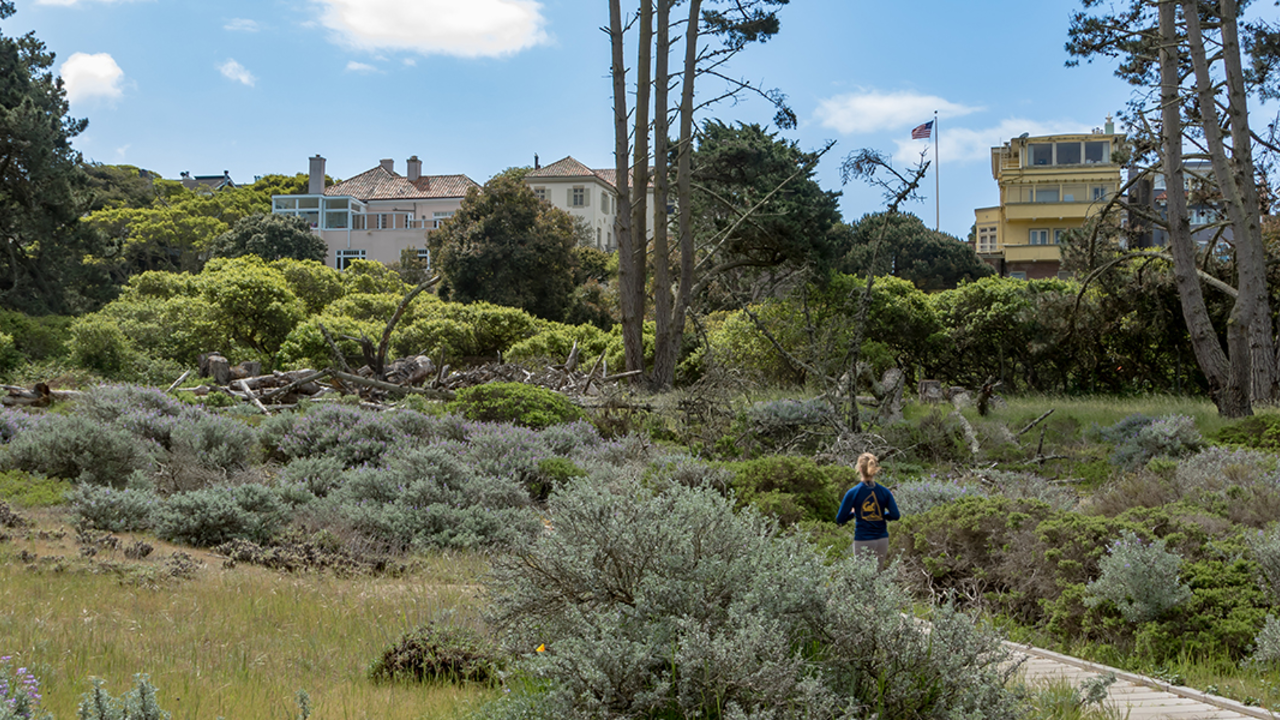 Jogger on Lobos Creek boardwalk