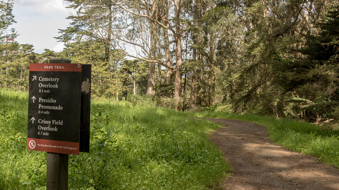 Presidio Park Trail