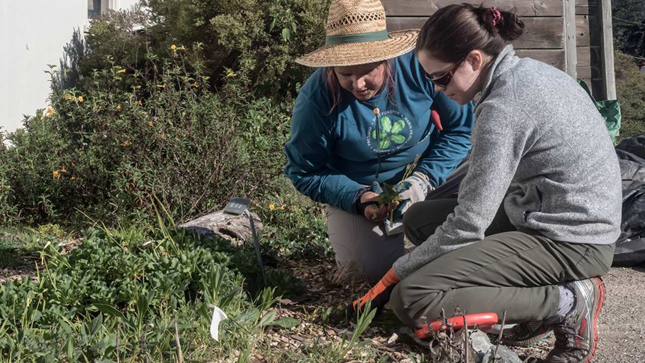PRSF-180221-LNG-31_2x1.jpg Presidio Native Plant Nursery