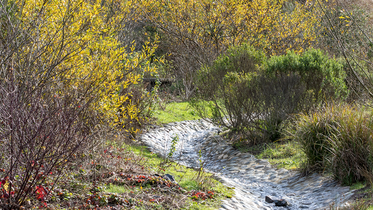 El Polín Spring