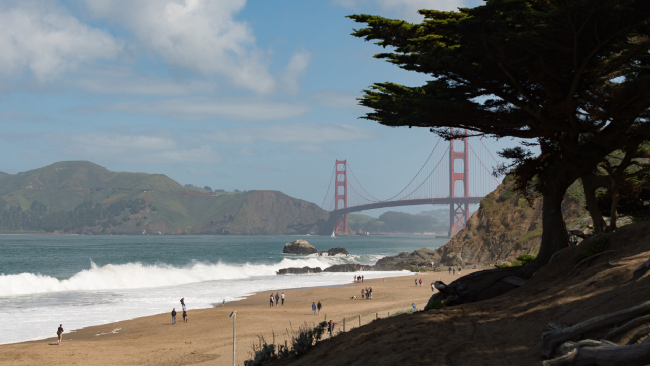 Natural beauty paired with the Golden Gate Bridge