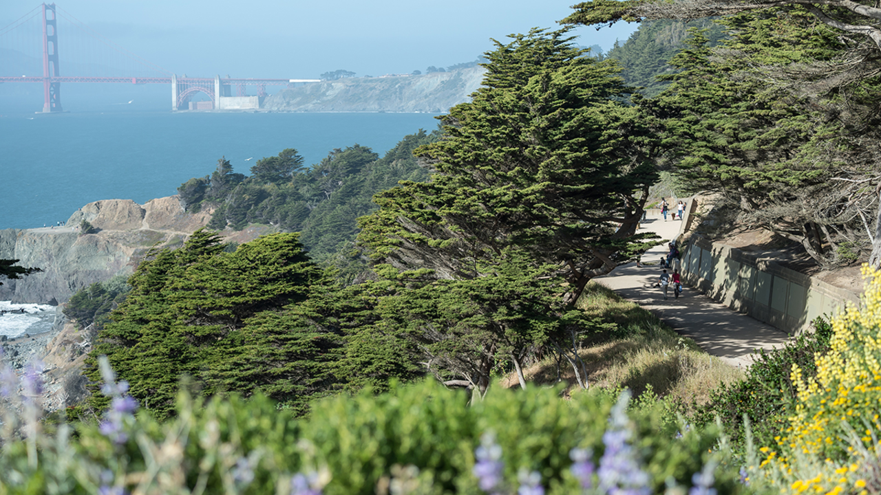 Coastal Trail at Lands End