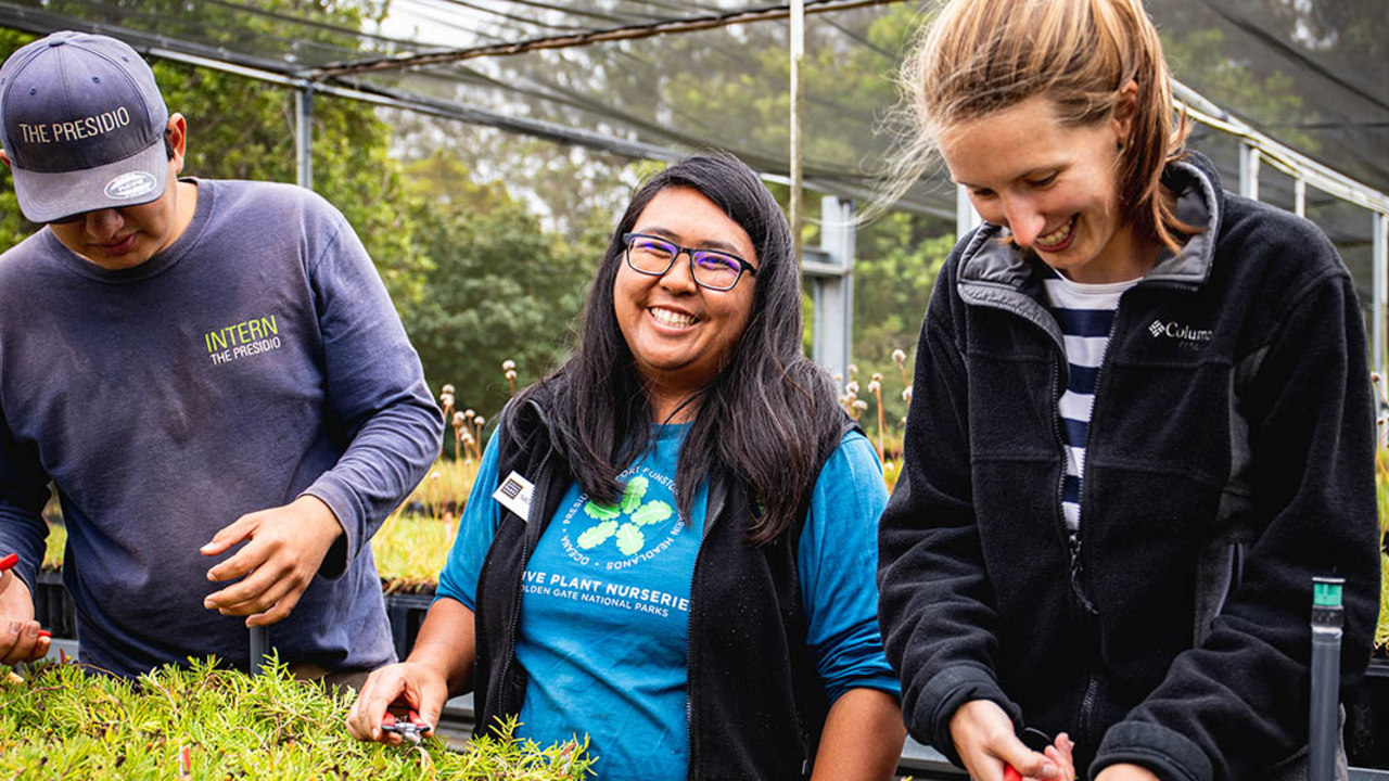 Staff and volunteers at the Presidio Native Plant Nursery.