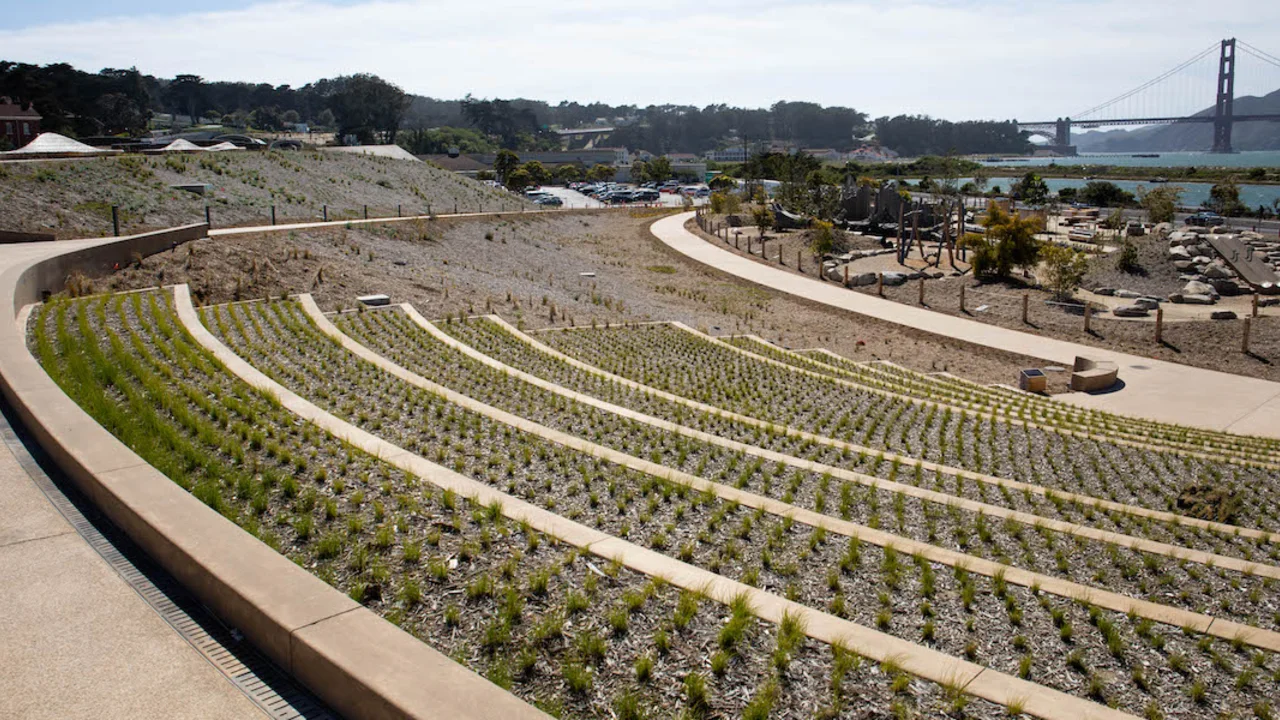 Built into the hillside, Presidio Steps face the Golden Gate Bridge. 