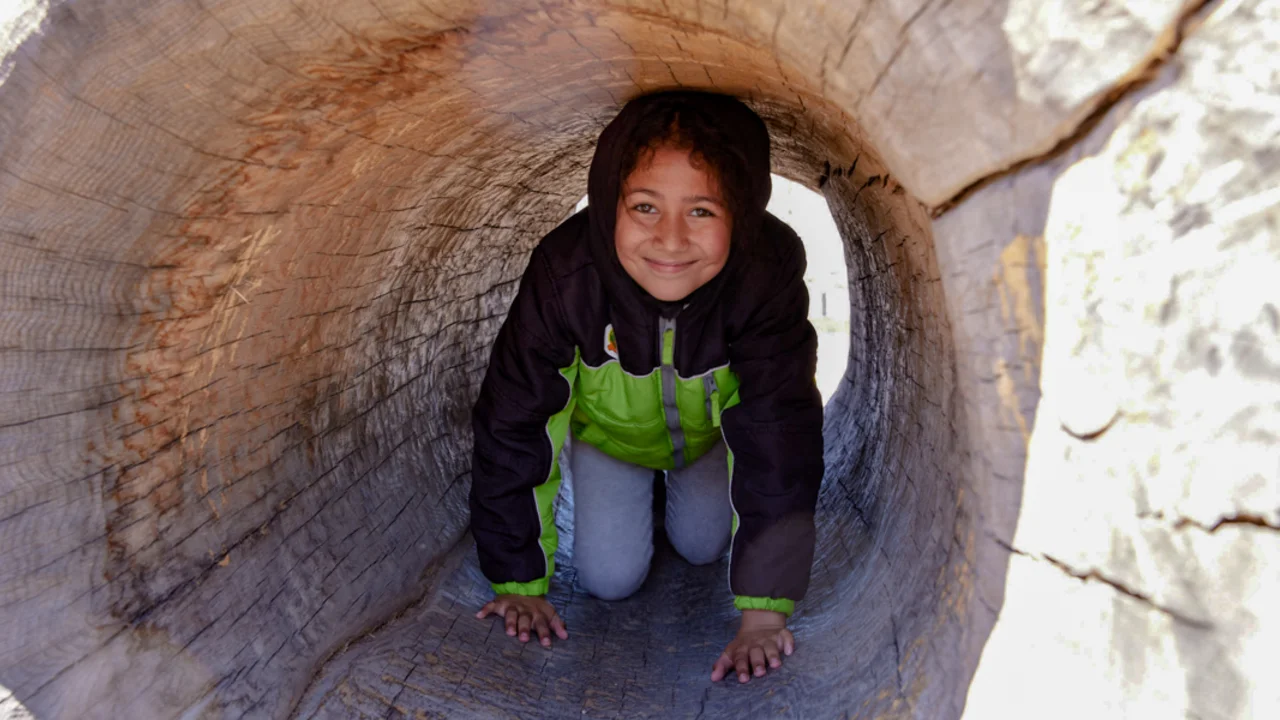Child playing in Fallen Tree