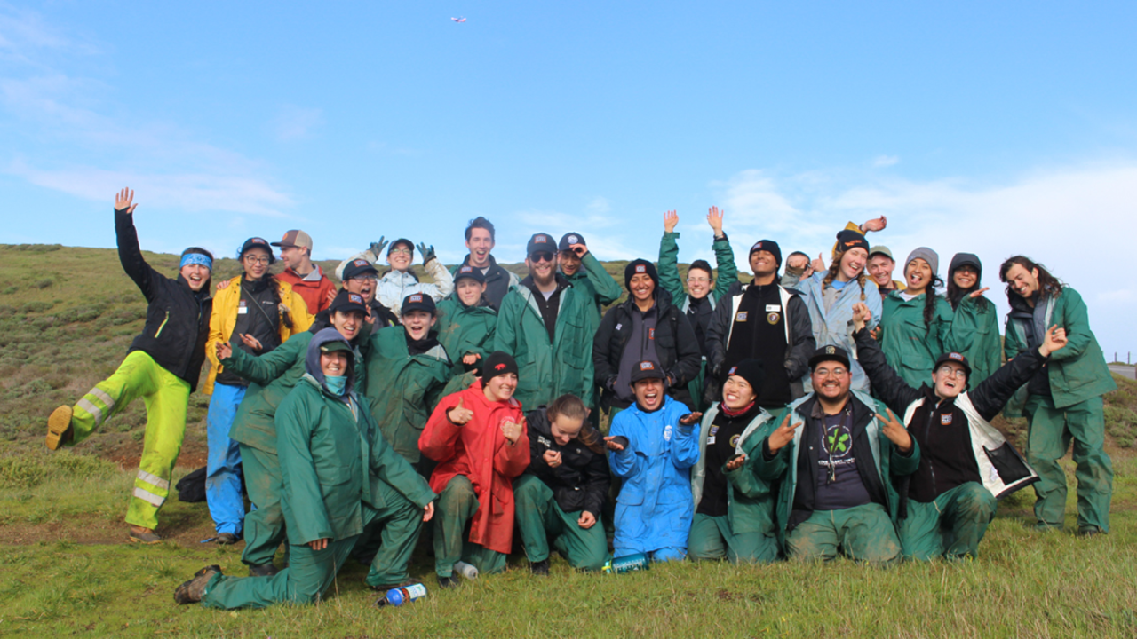 Restoration and Volunteer Internship, San Francisco