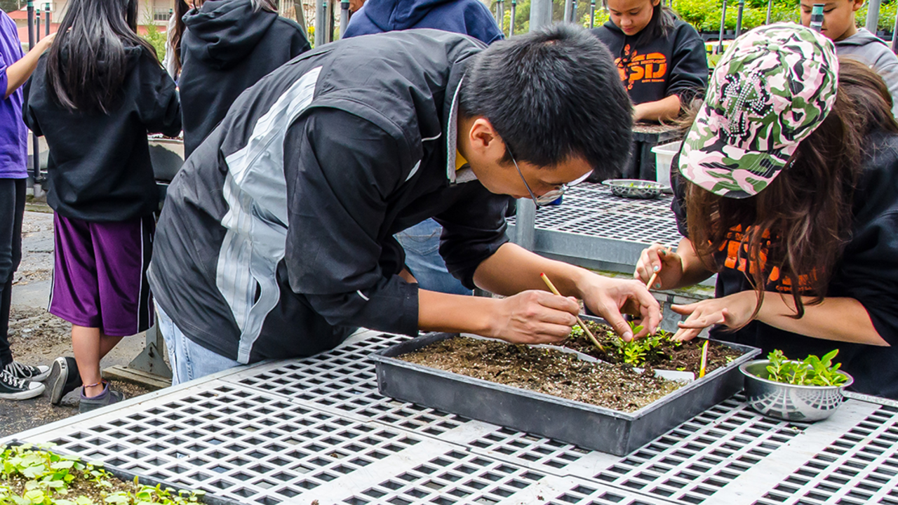 Nursery volunteers