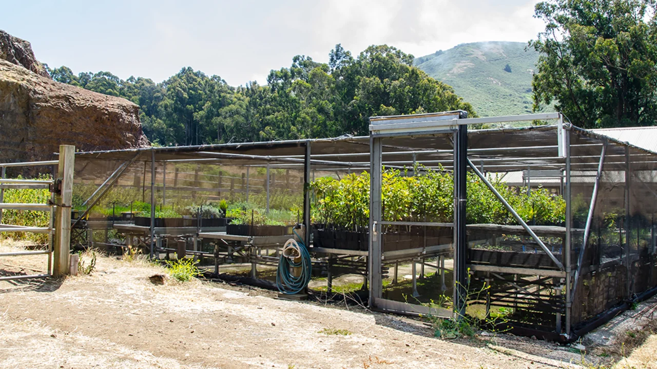Tennesee Vallery Nursery