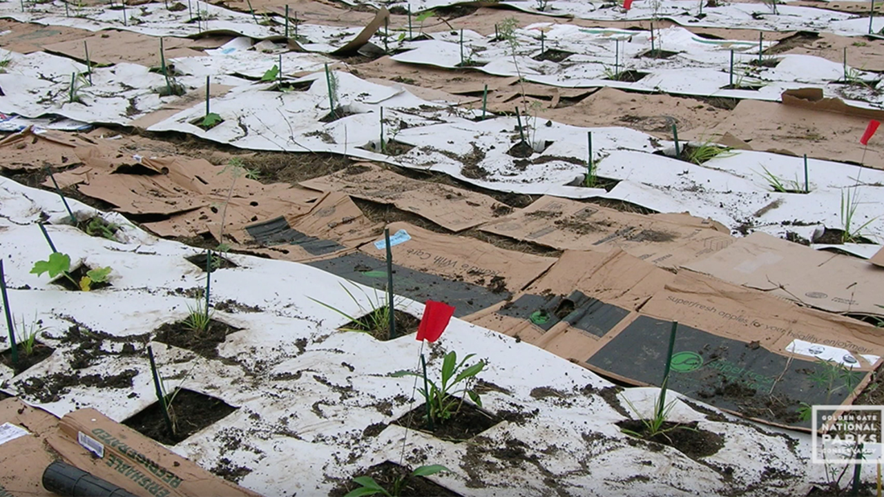 Tennessee Valley_Nursery_Closes_video_feature_image_2x1.jpg Tennessee Valley Nursery