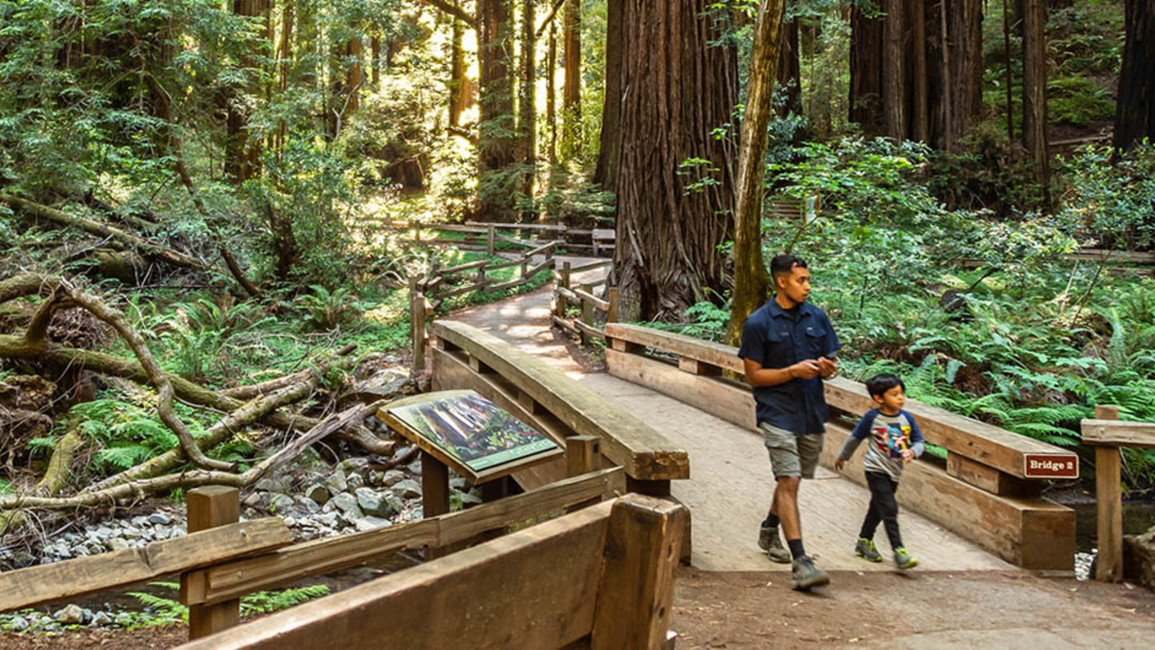 Two people walk across Bridge 2 at Muir Woods with greenery and redwood trees.