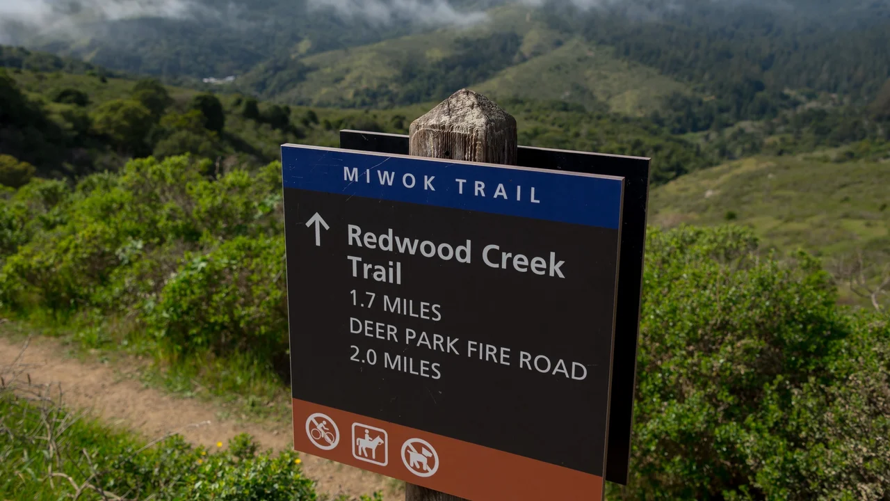 Trail signs along the Dias Ridge Trail