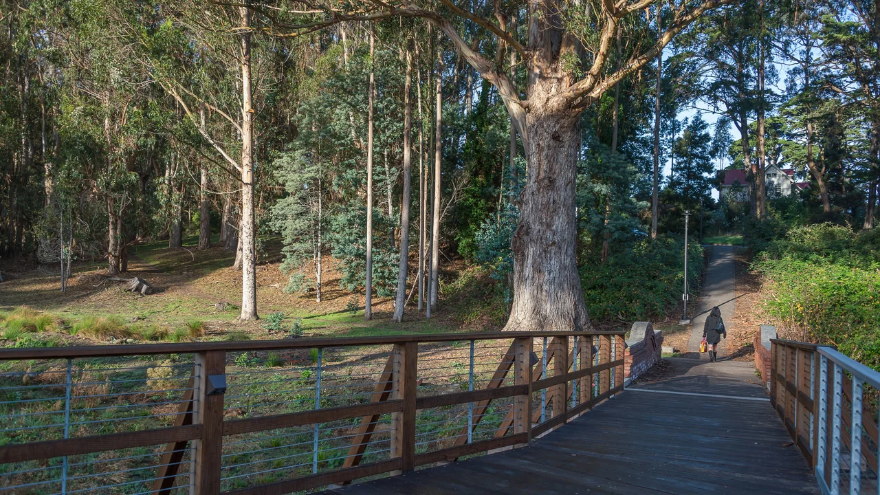 Visitor Strolling Through MacArthur Meadow