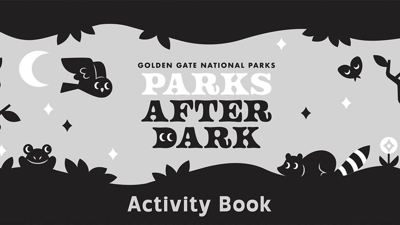Parks After Dark activity book