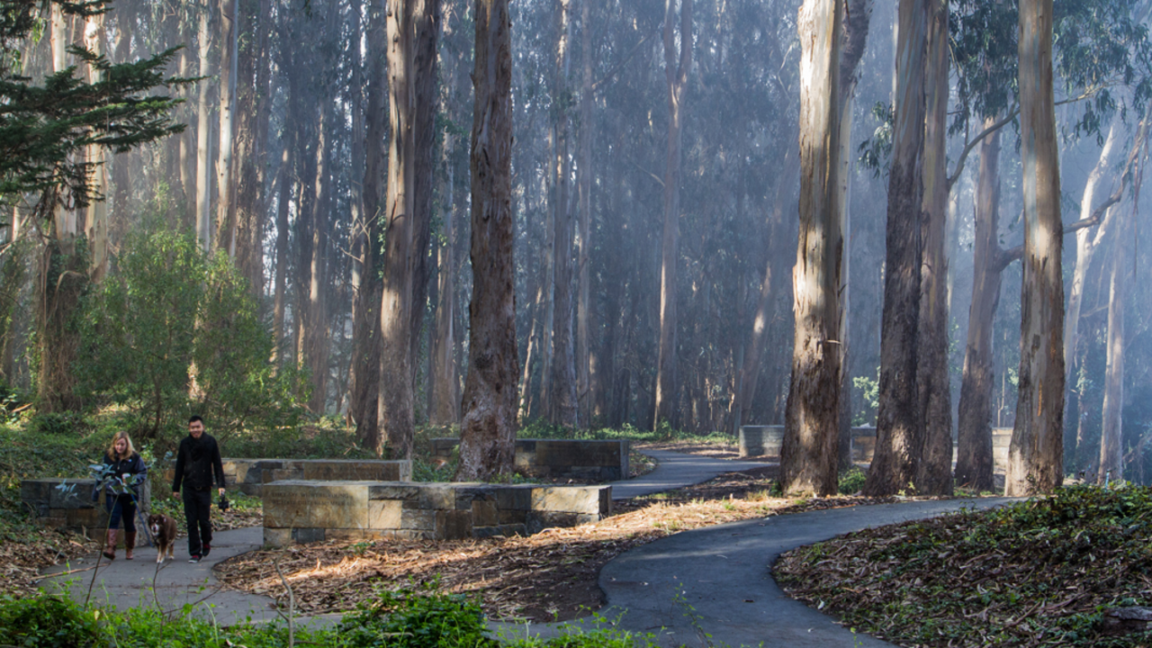 National Cemetery Overlook 