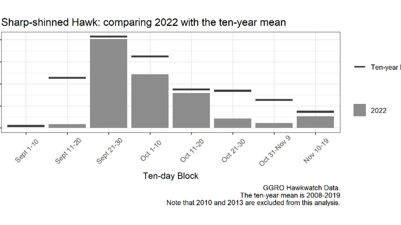Sharp-shinned hawk: comparing 2022 with the ten-year mean