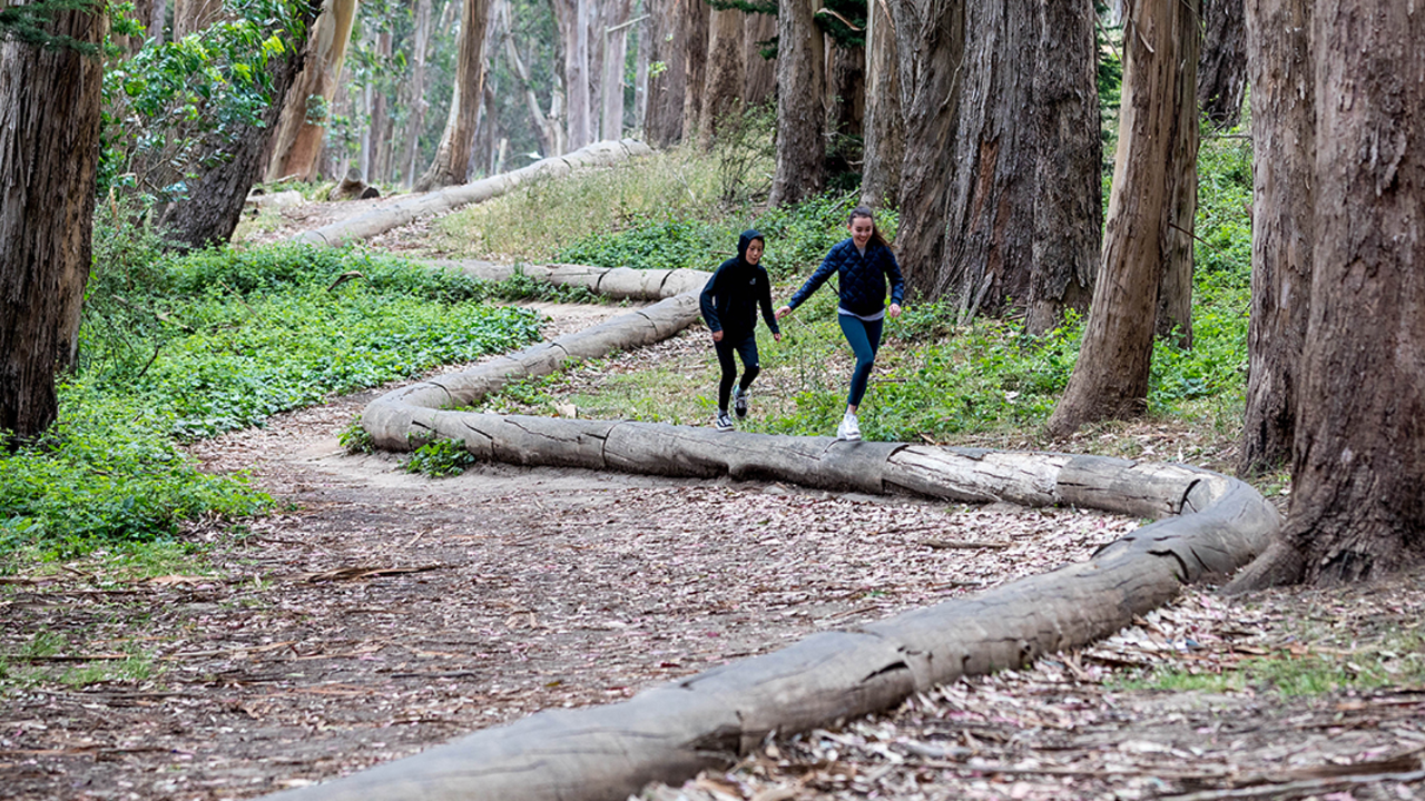 Andy Goldsworthy's Treeline PRSF-20180615-PMM-301_2x1.jpg