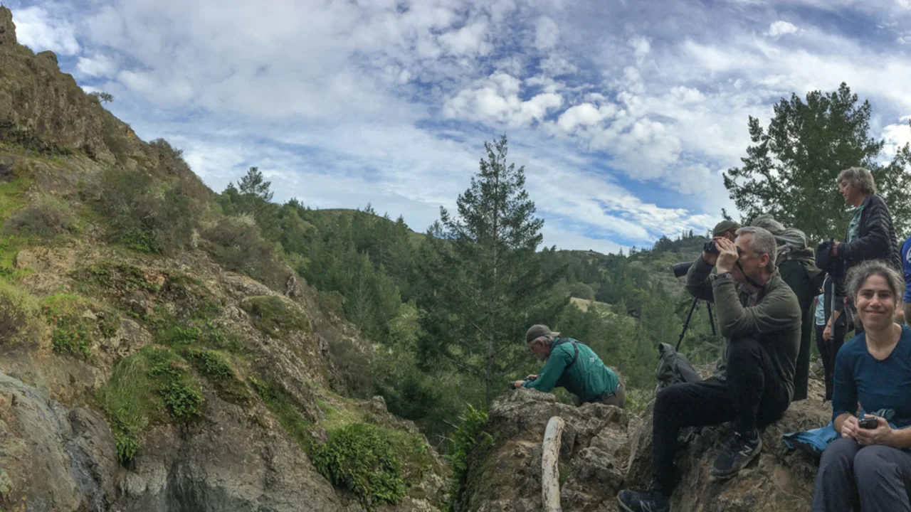Carson Falls, Mt. Tam