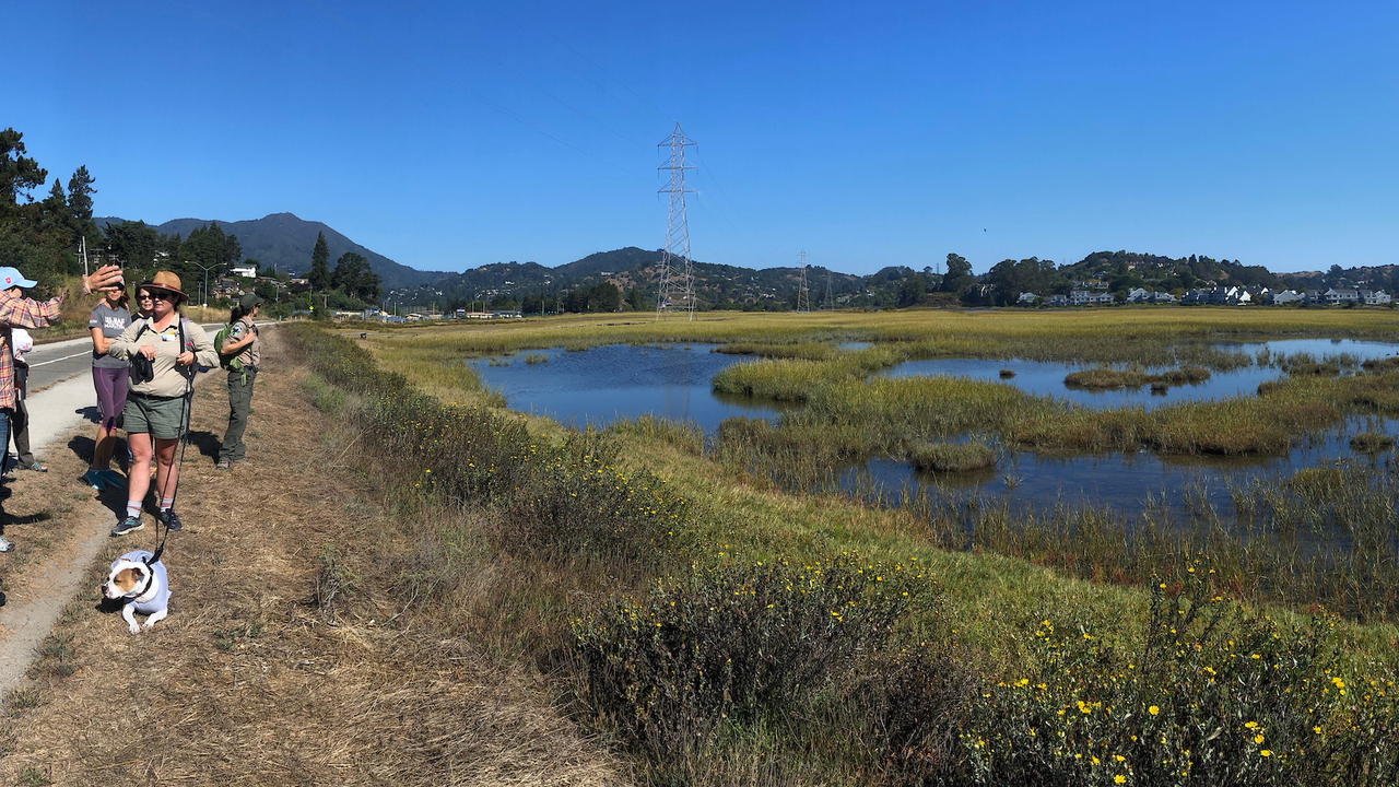 2019-08-30-MOTA-MSt-Bothin-8.jpg The Mill Valley-Sausalito multi-use path runs through Bothin Marsh