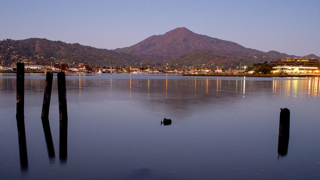 A_MOTA_150918_Scu_P9180332_2x1.jpg