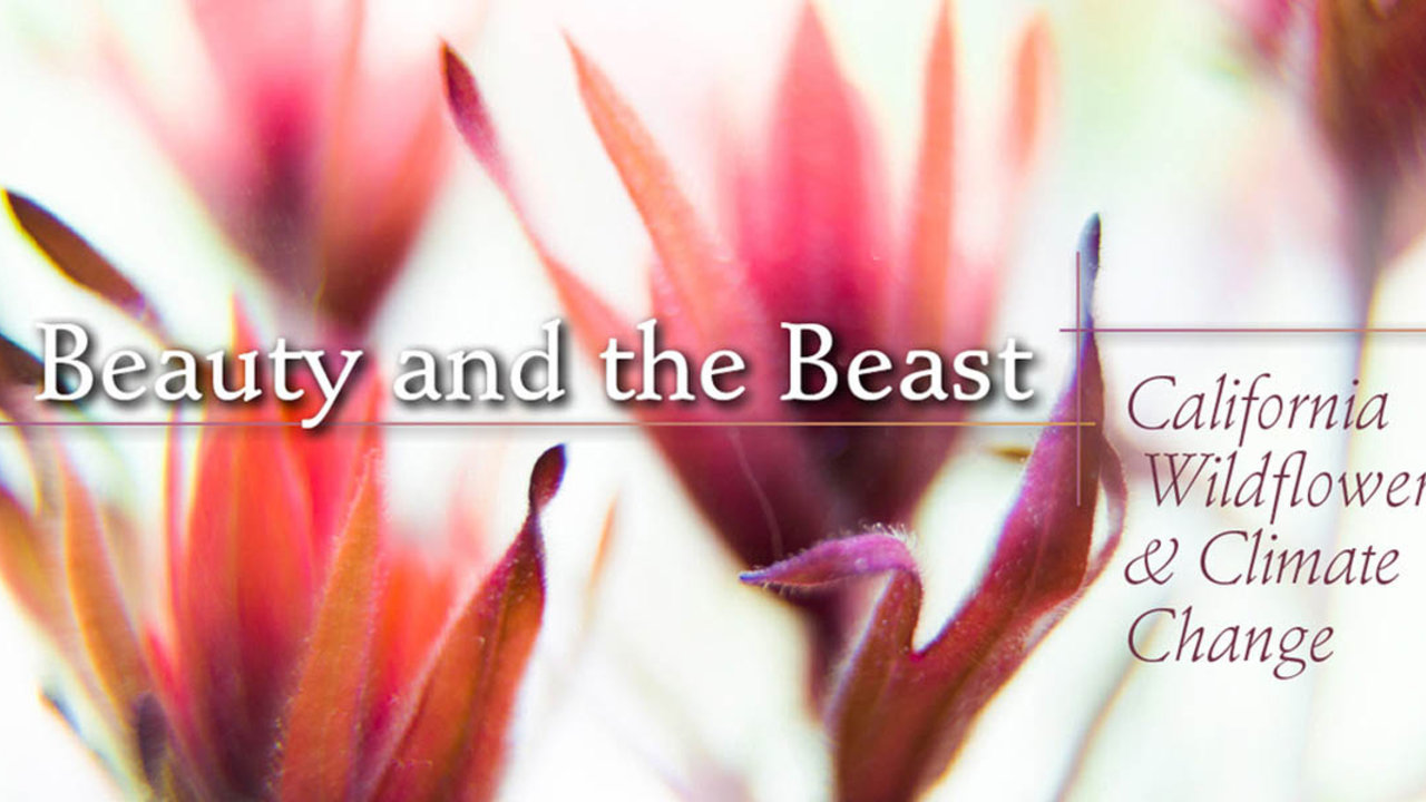 CNPS-BatB image_2x1.jpg