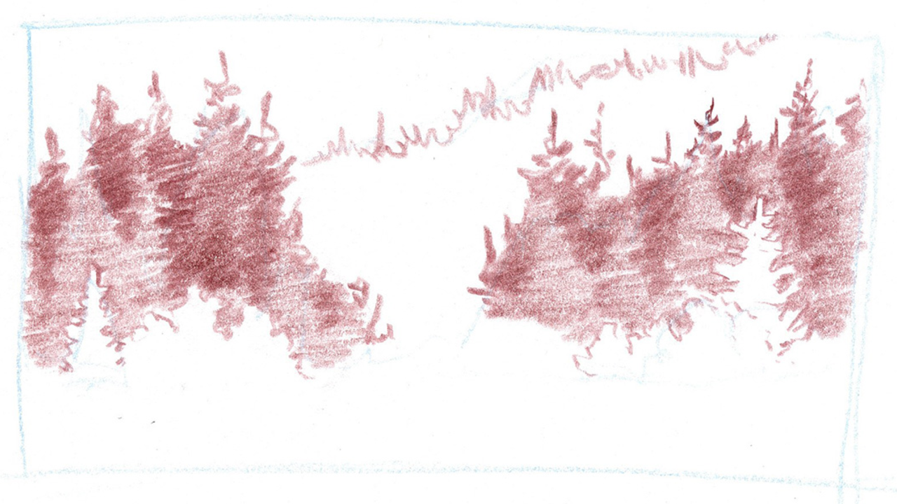 How to Draw a Forest with John Muir Laws January 2019 Nature Journal Club Workshop