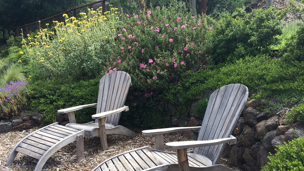 Drought Tolerant Native Plant Gardening