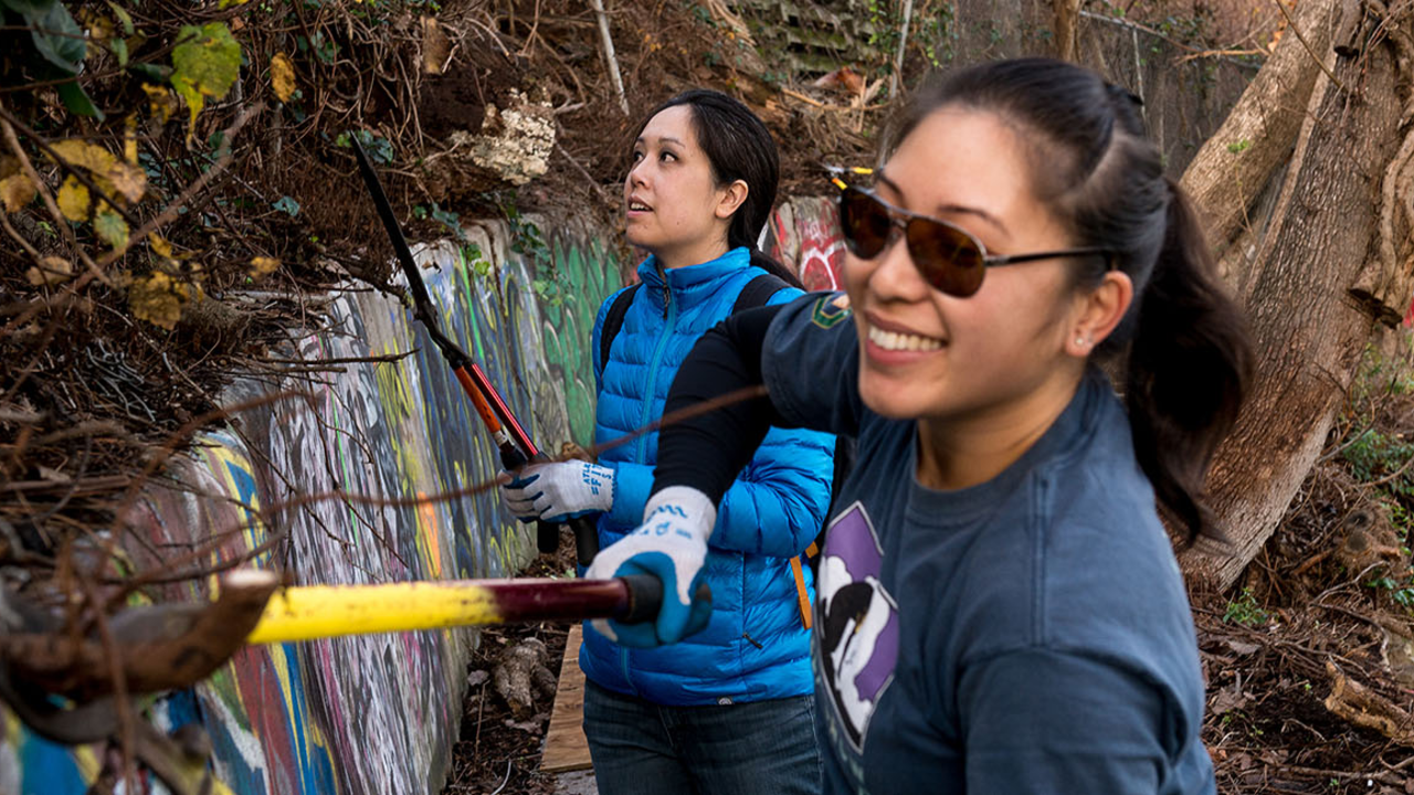 Volunteers Working in Black Point Historic Gardens